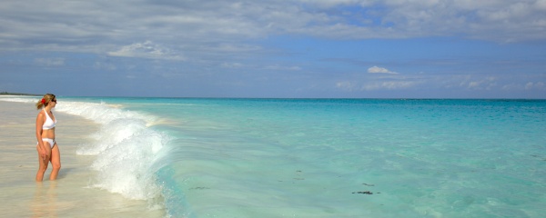 surf, Pink Sands Beach
