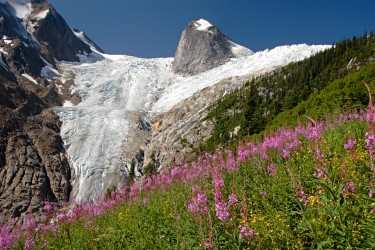 Bugaboo glacier and Hounds tooth