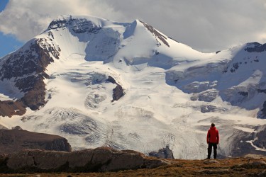Wilcox
 Pass, Jasper
