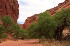 Spring canyon