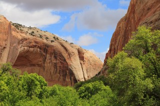 calf creek canyon