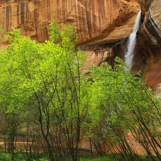 lower calf creek waterfall