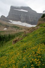 grinnell lake trail