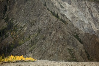 Confluence of Canada Creek and Columbia Creek, Kluane