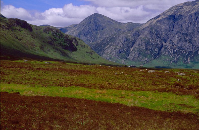 Development of lichenometric dating curves for highland scotland