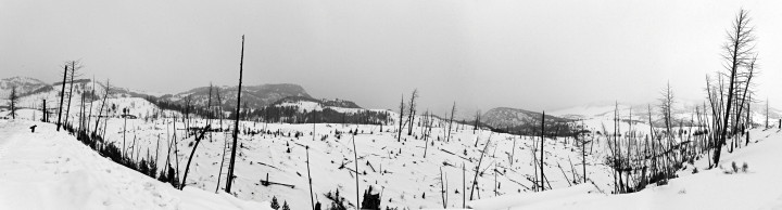 winter Cooke City road yellowstone