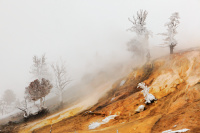 mammoth hot springs