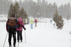 cross country skiing,
	Yellowstone National Park