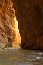 narrows of the virgin river, zion