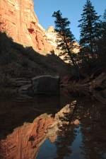 left fork of north creek in zion
