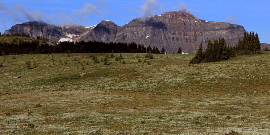 sunshine meadows banff national park