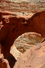 Cassidy arch