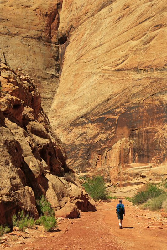 Hiker in Grand Gulch