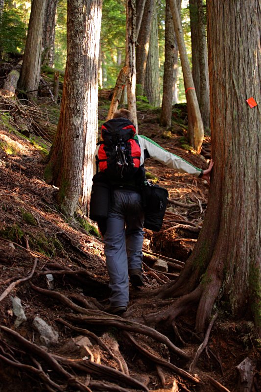 Wedgemount Lake trail
