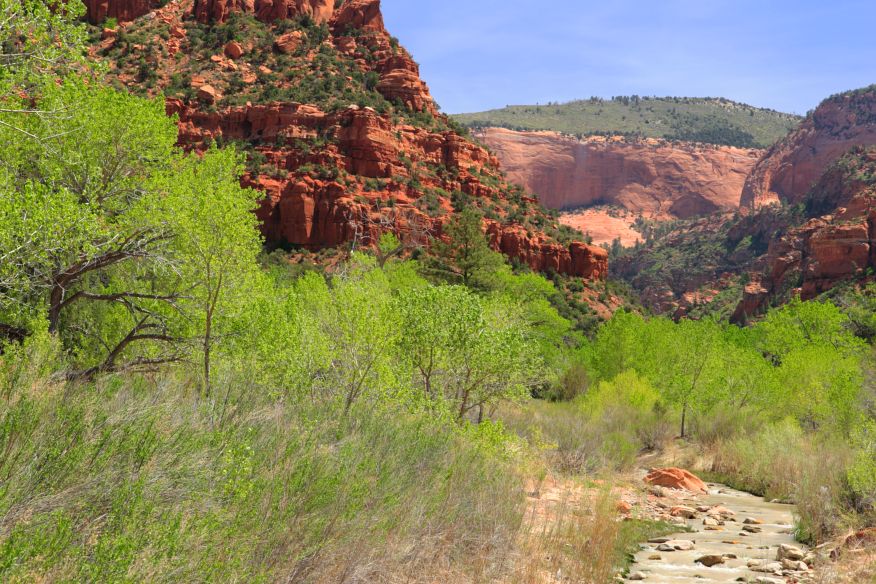 Kolob Arch trail, Zion National Park