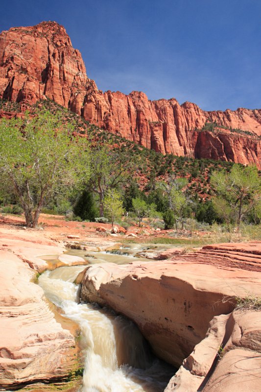 La Verkin Creek, Zion National Park